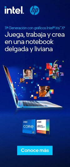 Intel HP Inc 11va Gen